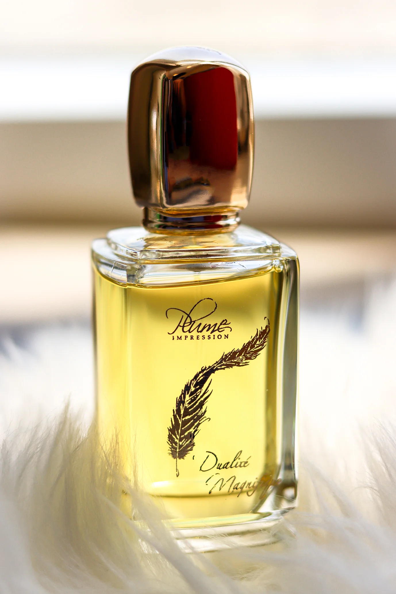 Dualité Magnifique - Image 3