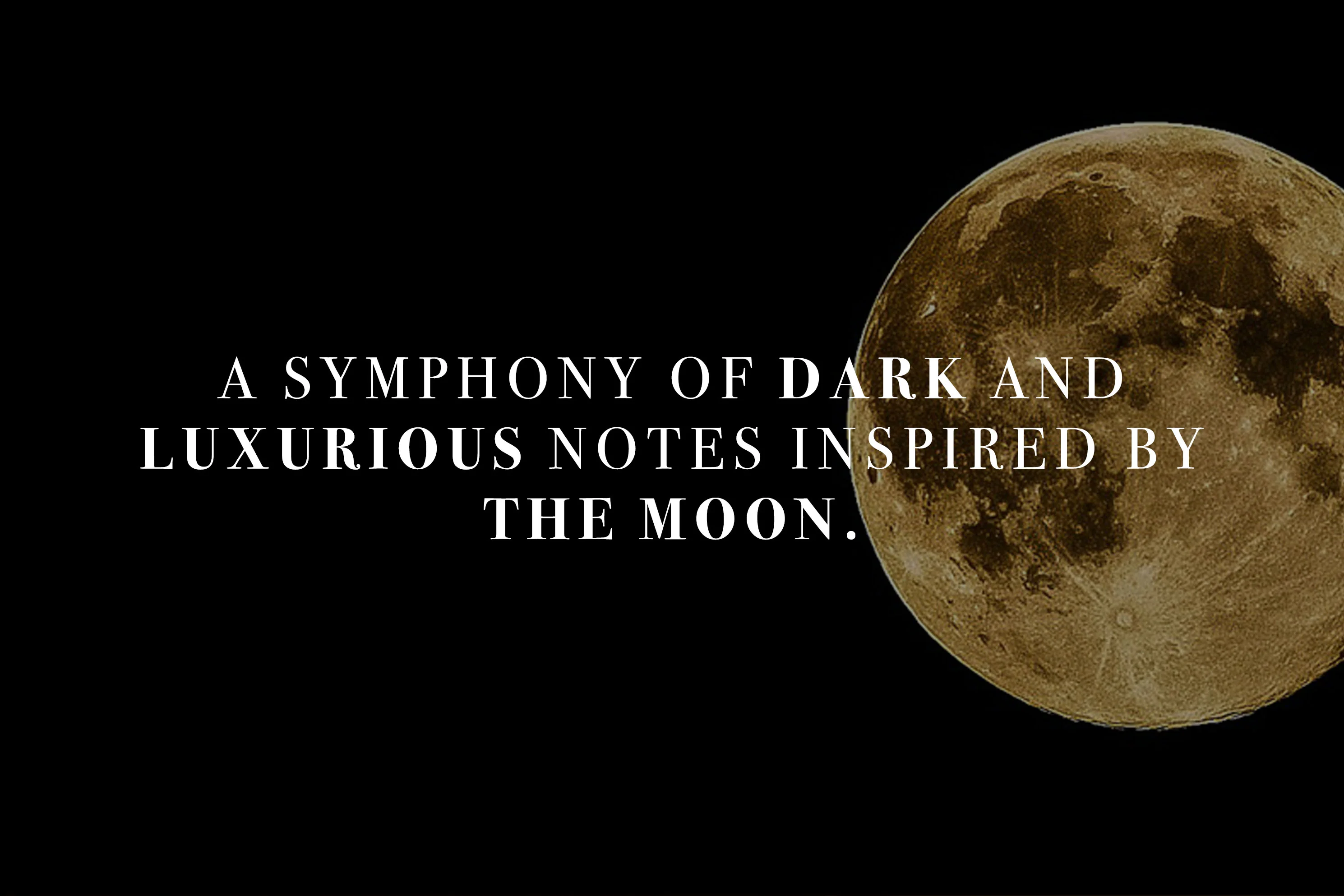 LUNE FÉLINE EDP - Image 3