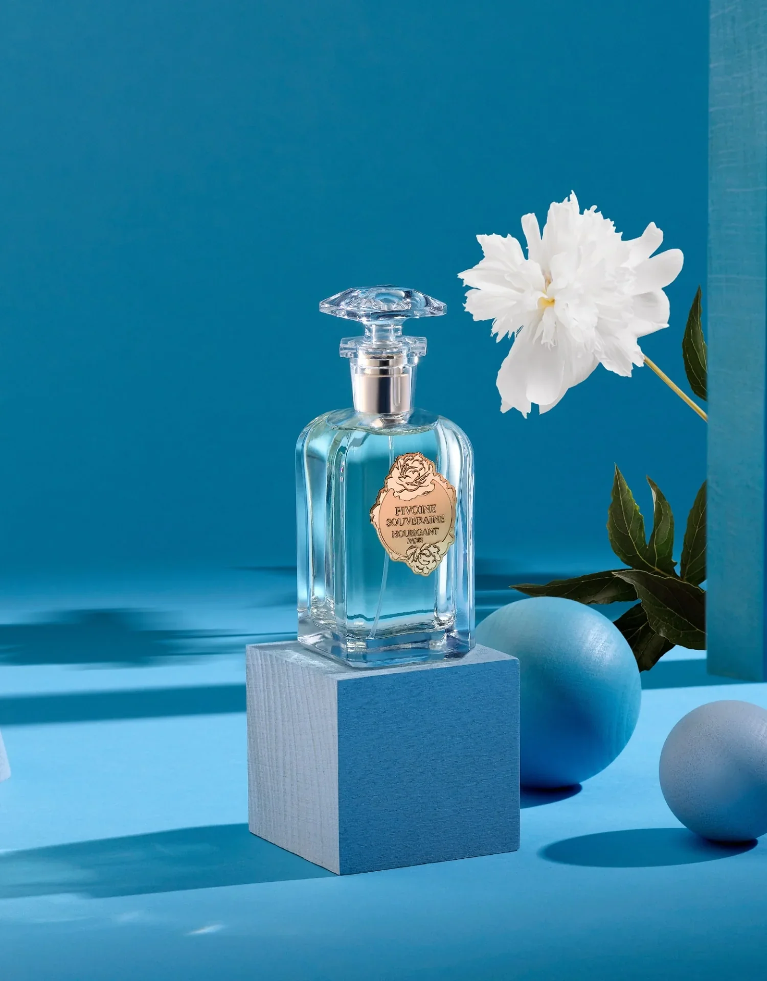 PIVOINE SOUVERAINE - Image 3